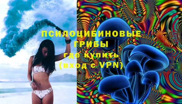 гидра Дмитриев