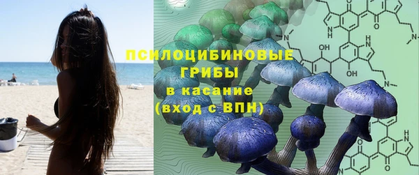 крисы Дмитровск