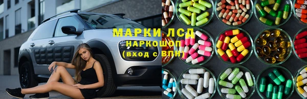 крисы Дмитровск